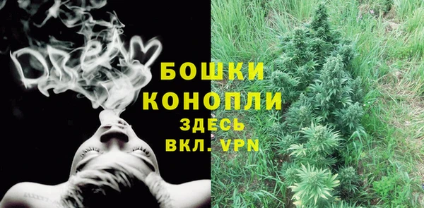 трава Алзамай