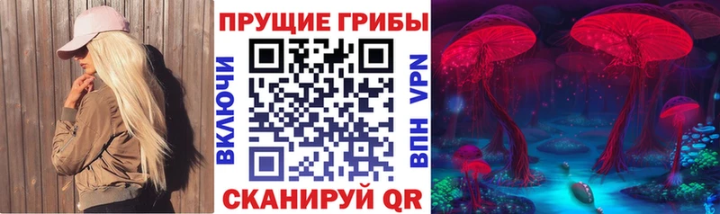 blacksprut как войти  Мегион  Галлюциногенные грибы Cubensis  цена  