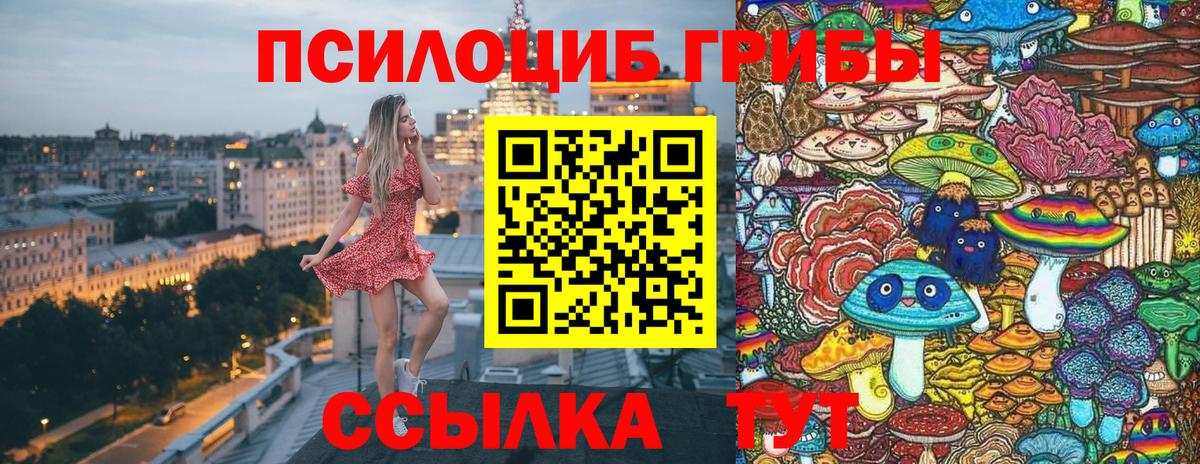 Галлюциногенные грибы Magic Shrooms  Псилоцибиновые грибы Cubensis  Вход с VPN  Мегион 