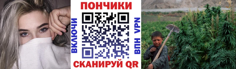 Бошки Шишки OG Kush  Мегион 